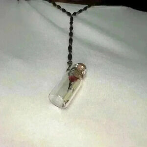 Vintage message in Bottle Treasure Chest Necklace Miniblings Geheimnis Glass